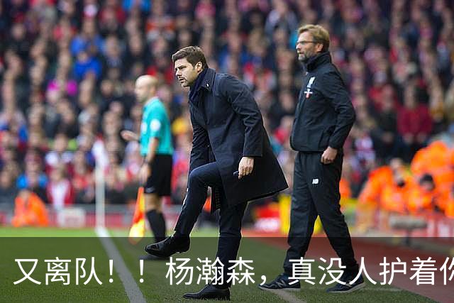 又离队！！杨瀚森，真没人护着你了...