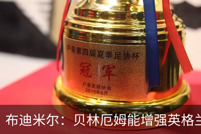 布迪米尔：贝林厄姆能增强英格兰实力 拉什福德总有关键表现