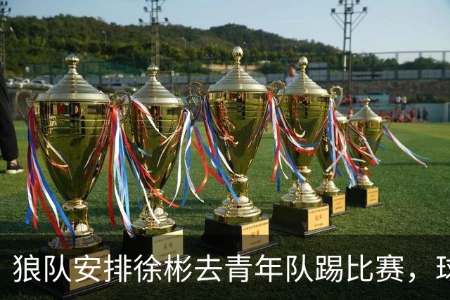 狼队安排徐彬去青年队踢比赛，球迷却不买账，直言还不如踢中超